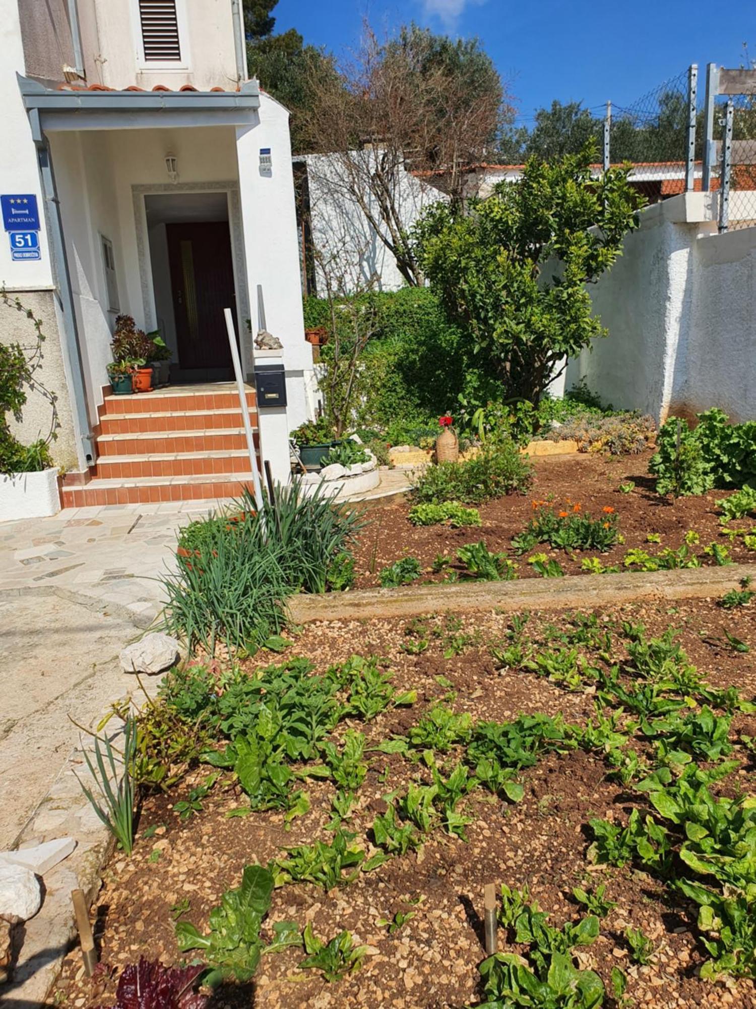 Apartment Marija Marina Exterior foto